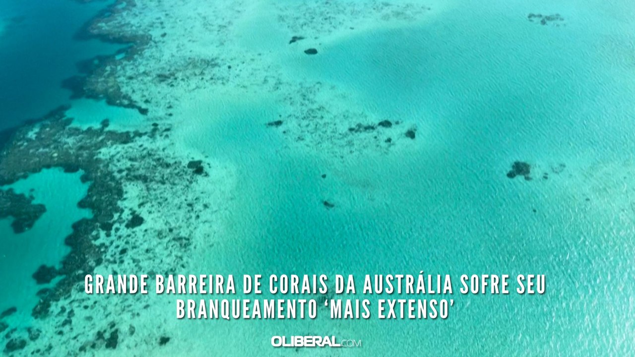 Grande Barreira de Corais da Austrália sofre seu branqueamento ‘mais extenso’