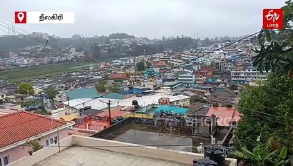 வனத்துறையினர் வைத்த கூண்டில் சிக்கிய கரடி... ஊட்டி சுற்றுலா பயணிகள் நிம்மதி!