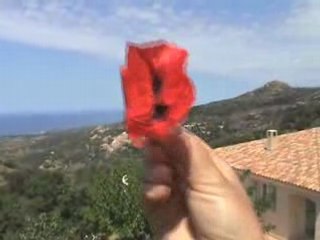 Corse - Mai 2008 - en route vers Sant' Antonina