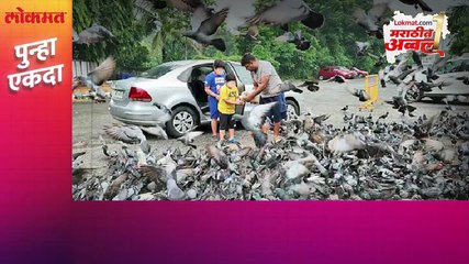 कबुतरखान्याचा इतिहास काय वाद का