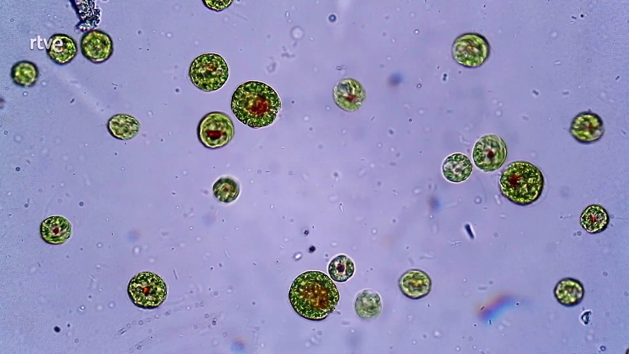 Tierra Cap 2 - Hielo