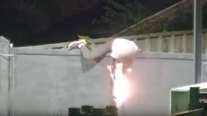 Rogoredo, i disperati del bosco della droga: tagliano il lucchetto con il flessibile e minacciano i poliziotti con le siringhe