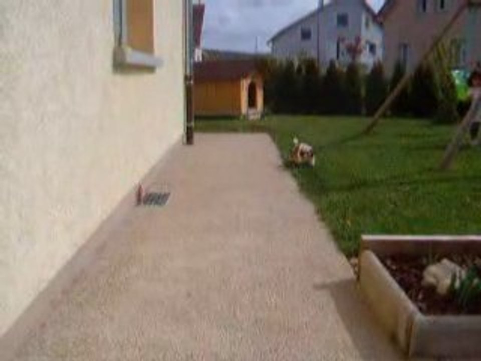 DSCF1086