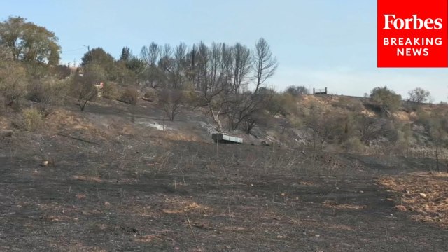 Wildfires Ravage Parts Of Southern France, Reportedly Burn Area Larger Than Paris