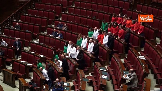 Deputati M5S vestiti con colori bandiera palestinese in Aula per chiedere riconoscimento Palestina
