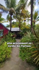 J'ai envie de vivre ici