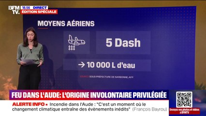 Incendie dans l'Aude: le dispositif mis en place pour tenter de venir à bout des flammes