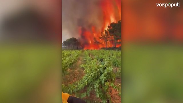 Las impactantes imágenes que están dejando las llamas del incendio declarado al sur de Francia