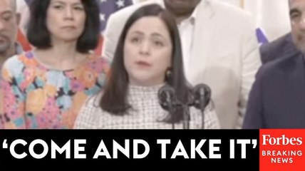 Reporter Asks Texas Representatives Point-Blank If They Are Afraid Of Being Arrested