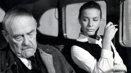 Les fraises sauvages