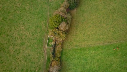 Bocage, nos haies communes