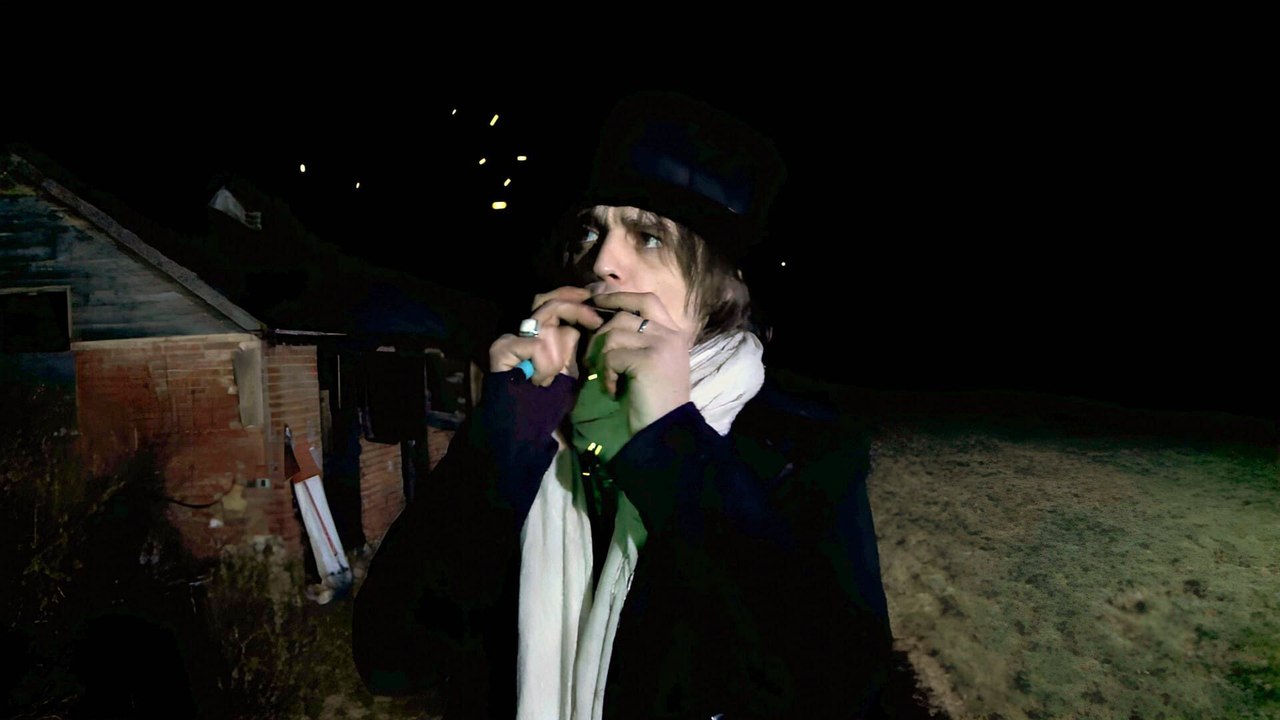 Peter Doherty : Stranger in My Own Skin