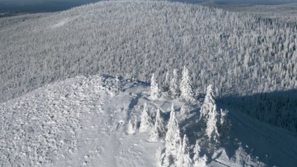 Quand la forêt reprend ses droits : Le Parc national de la forêt de Bavière