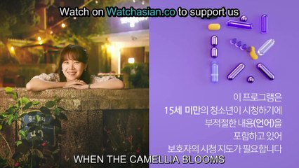 When the Camellia Blooms Episode-1