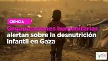 Organizaciones humanitarias alertan sobre la desnutrición infantil en Gaza
