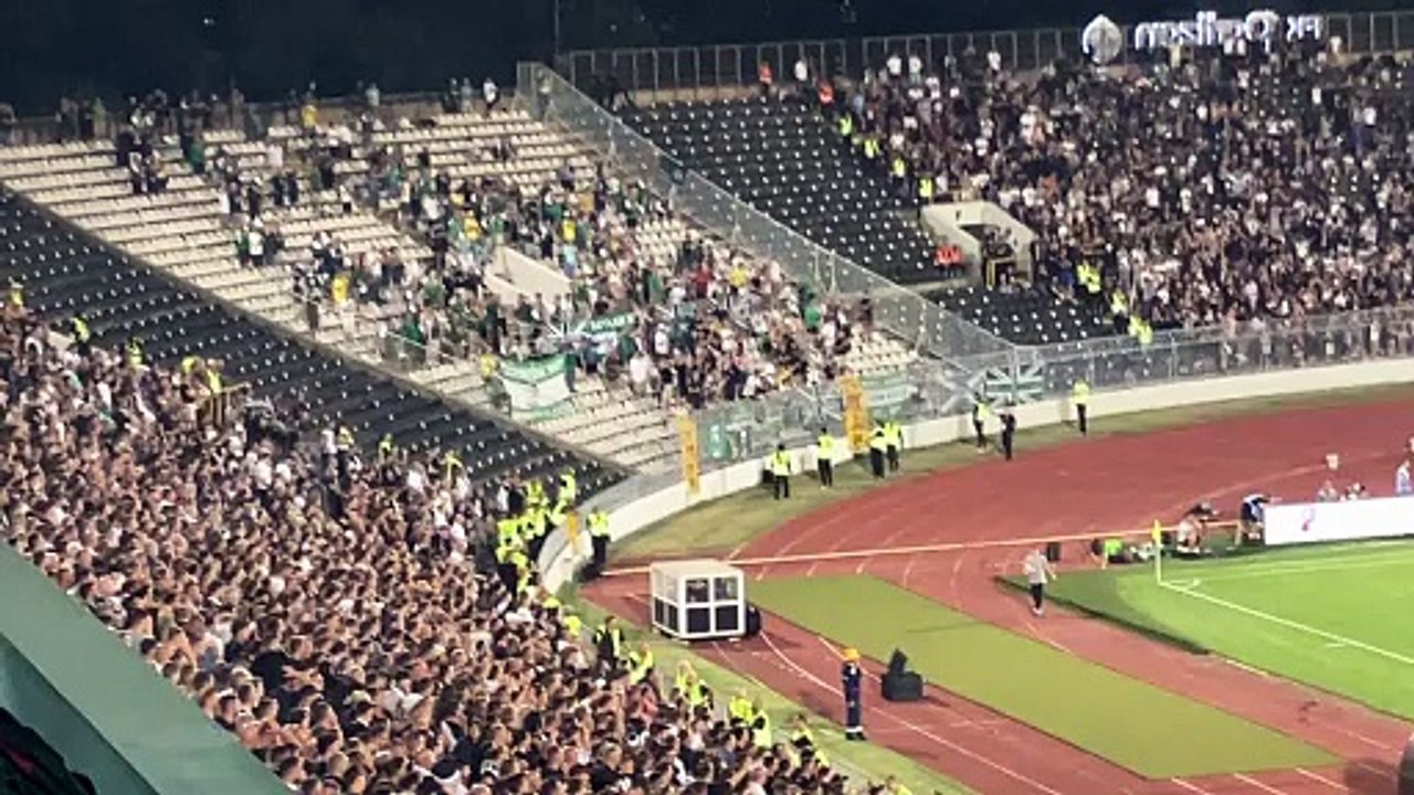 Hibs fans react as Boyle scores his second against Partizan in Belgrade
