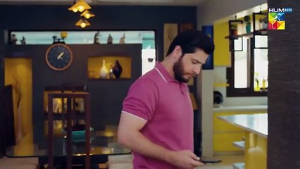 Raaja Rani - Episode 28 -  7 August 25 [ Hina Afridi _ Faysal Qureshi ] - HUM TV