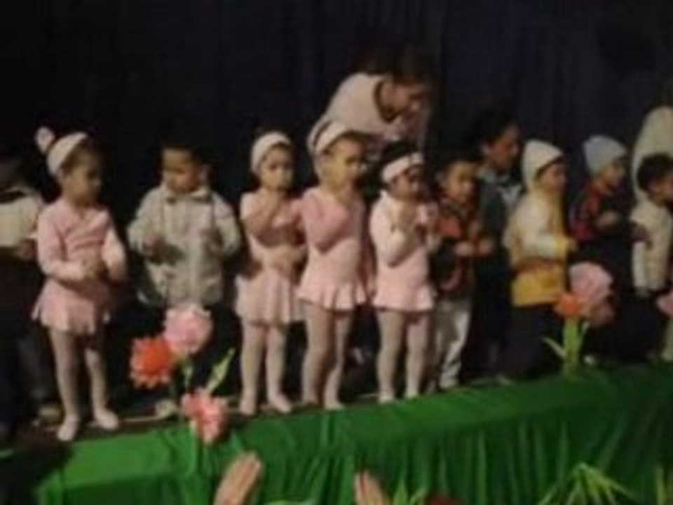 Vi dança do pato