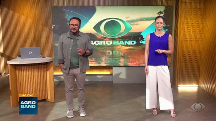 Tarifaço de Trump pode afetar exportação de 300 mil produtores açaí