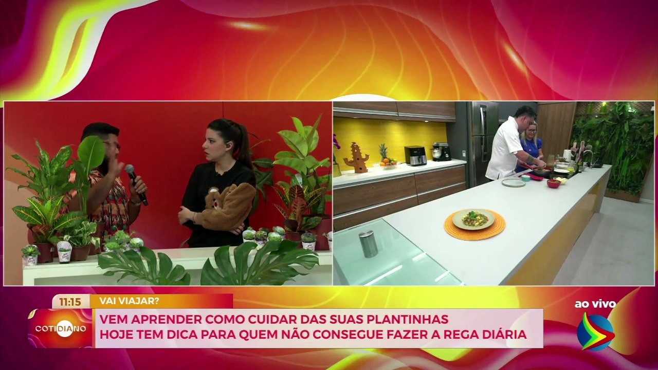 Cuidando de suas plantas durante as viagens: dicas práticas para manter seu jardim saudável