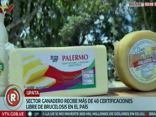 Bolívar | Sector ganadero de Piar recibe certificación de establos libres de brucelosis