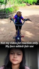 বানরের সাইকেল চালানোর চেষ্টা 🤣