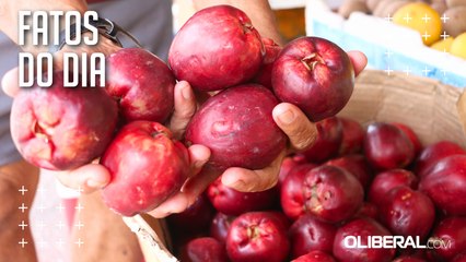Fruta regional, jambo faz bem para o coração, apontam estudos