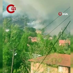 Bartın'da orman yangını: Alevler yerleşim yerini tehdit ediyor!