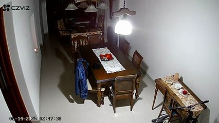 “Tranqui, tapate la jeta”： los videos de la banda que en una hora entró a robar en 3 casas de A (1)