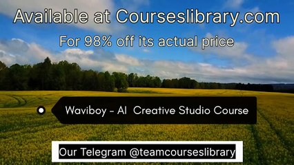 Waviboy: Ai Studio Course