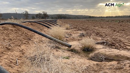Forbes farmers with sodic soils