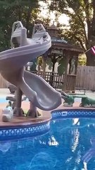 Funny_Cat_falling_in_Water_😂______#shorts_#cats(360p)