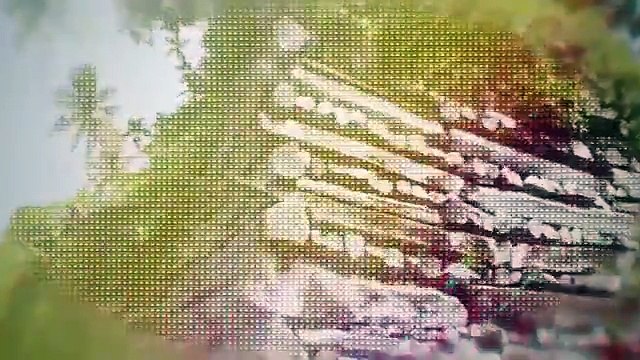 351K views · 16K reactions 800 Years Old Man- Made Island Beats Modern Dubai 👀😱👑 #knowlegde #Trending #viralvideo #zemtv Zem tv