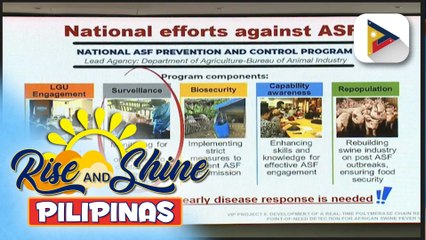 Makabagong paraan ng pag-test sa african swine fever, alamin!