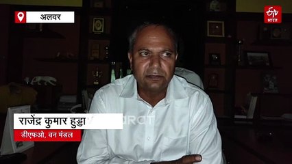 अलवर में बायोलॉजिकल पार्क में लायन सफारी की उम्मीद जगी, सउदी अरब की कंपनी तैयार कर रही डिजाइन