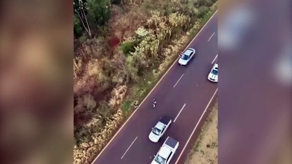 Com apoio aéreo, PM prende casal após roubo e perseguição entre Cascavel e Toledo