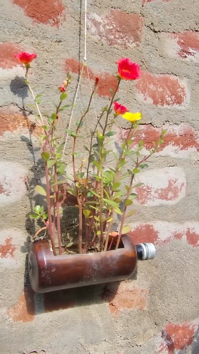 #_Best_Plant_Pot_Tips for Healthy Plants and beautiful look| "Beautiful Flowers in Full Bloom 🌸 | Nature’s Stunning Beauty"