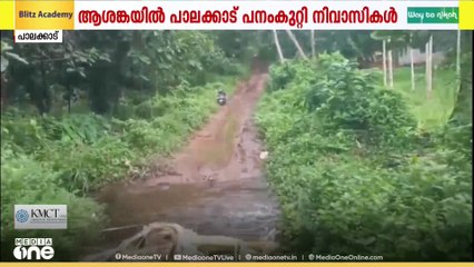 തുടർച്ചായായ മൂന്നാം ദിവസം കാട്ടാന; ആശങ്കയിൽ പാലക്കാട് കിഴക്കഞ്ചേരി പനംകുറ്റി നിവാസികൾ