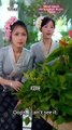 Mimpi Malam Pertengahan Musim Panas | A Midsummer Night's Dream - Part 2 End  [Multi Sub] [Chinese Drama]