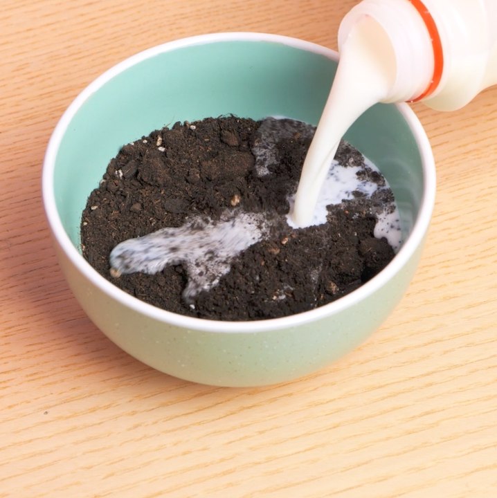 FRÈRE : des astuces secrètes pour des plantes florissantes que vous adorerez !