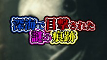 深海で目撃された謎の痕跡