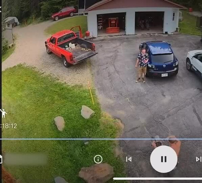 Biker Slams Into Truck and Ends up Falling Right Into It