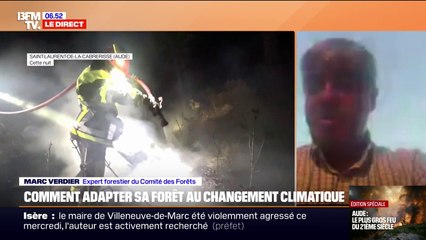 "Les vignes correspondent (...) à un pare-feu": un expert forestier au Comité des forêts décrypte la propagation de l'incendie dans l'Aude