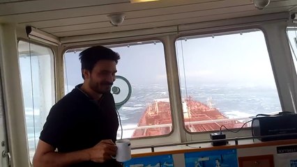 Atlantic ocean View || puffer fish rescue