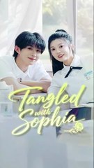 tangled with sophia chinese drama, You're My Wish Come True