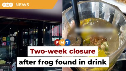 Restaurant ordered to close for 2 weeks after woman finds frog in drink