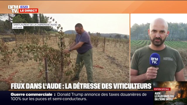 80% de nos vignes ont été touchées : la détresse des viticulteurs face à l'incendie dans l'Aude