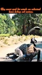 The True Friendship Between Eagly And Peacemaker.