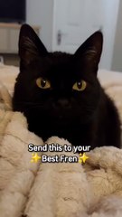 Send this to your best friend_😤🤌