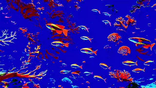 Tranced and Psychedelisized #135 - August 6, 2025